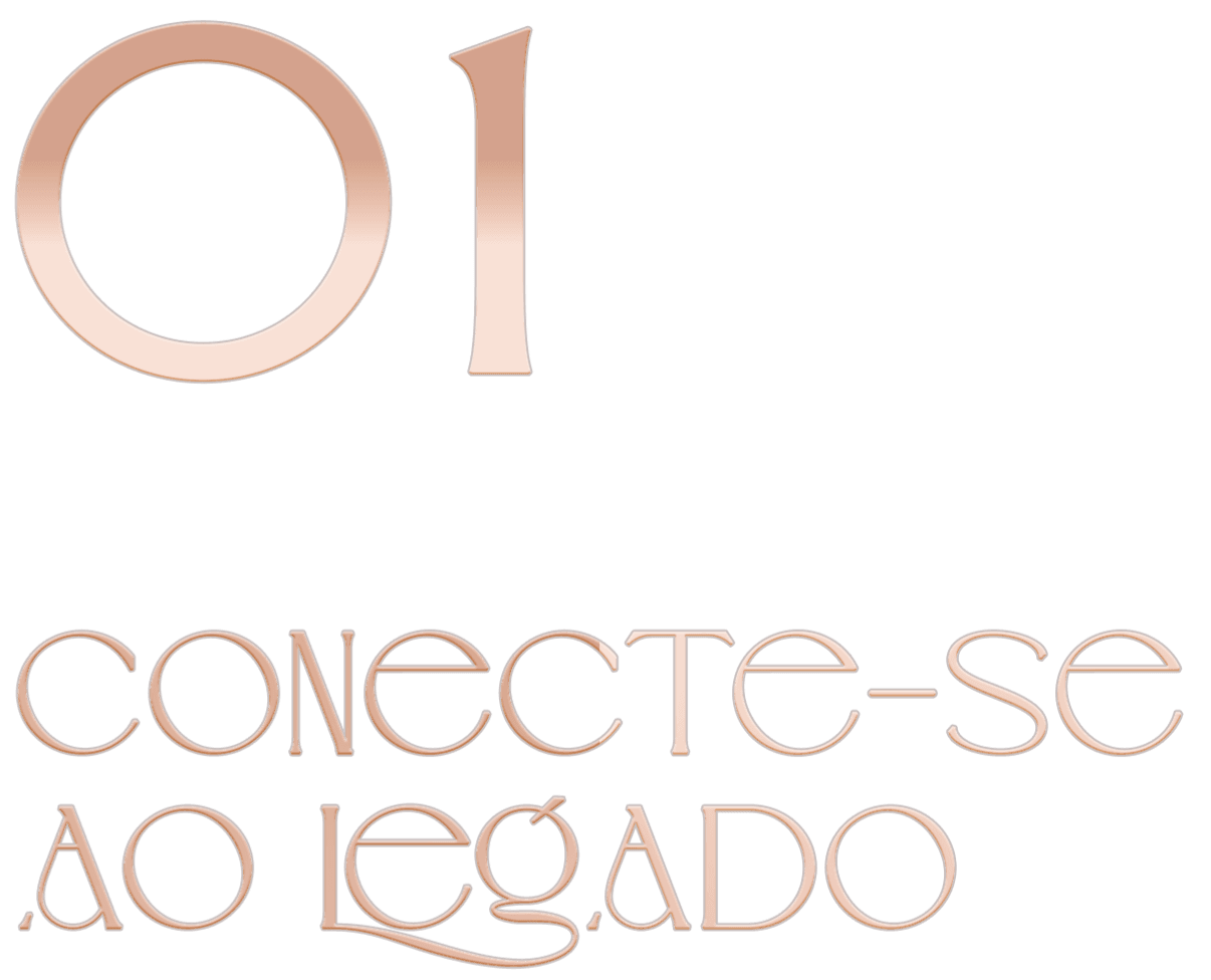 Conecte-se ao Legado
